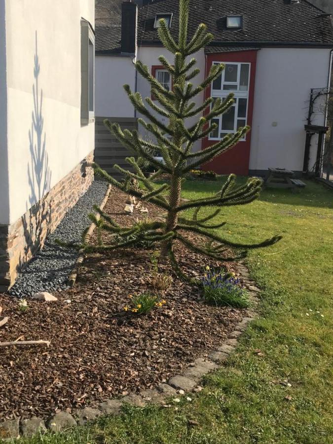 Ferienwohnung Sonnen - Terrasse Bernkastel-Kues Exterior foto